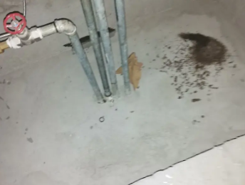 峨眉山卫生间测漏水价格明细